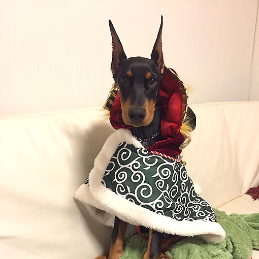 ボルト君の写真