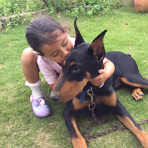 女の子とドーベルマンの写真