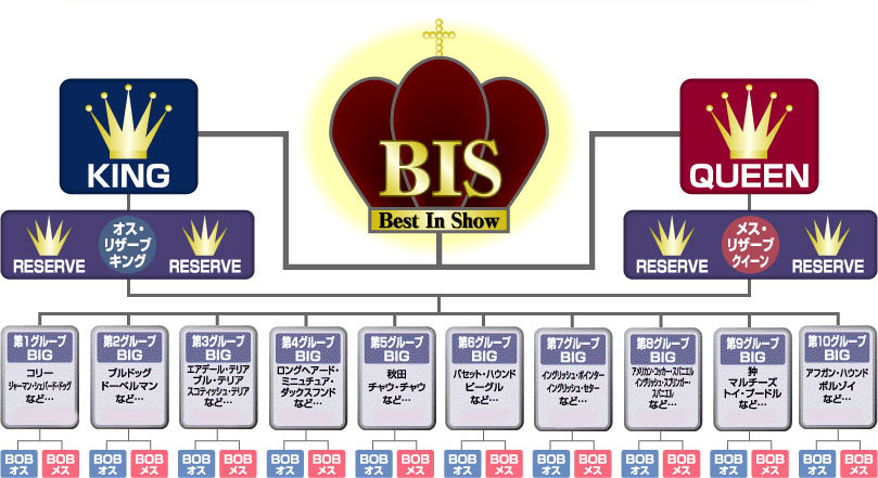 トーナメント図